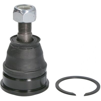 CTR CB0334 Sospensione Testa - Tipo di sospensione CTR CB0334 Sospensione Testa - Tipo di sospensione