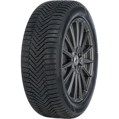 LAUFENN Winterreifen - 205/50 R17 - M+S - XL - V - schwarz - Modell LW31+ LAUFENN Winterreifen - 205/50 R17 - M+S - XL - V - schwarz - Modell LW31+