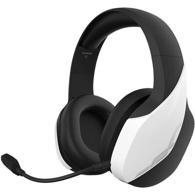 Zalman ZM-HPS700W - Blanc Zalman ZM-HPS700W - Blanc