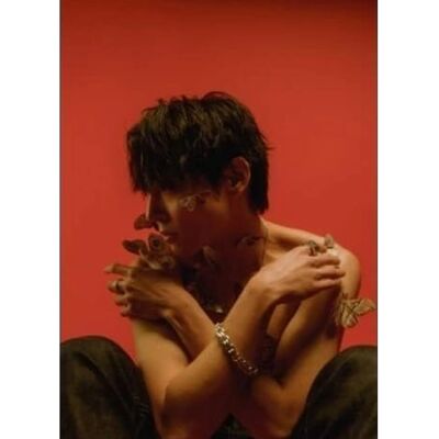 Woolfpack Woo Sung - Moth - Fotoksiążka + Polaroidowe zdjęcia - Import USA Woolfpack Woo Sung - Moth - Fotoksiążka + Polaroidowe zdjęcia - Import USA