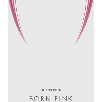 Album Kit Born Pink de Blackpink - Expérience musicale interactive Album Kit Born Pink de Blackpink - Expérience musicale interactive