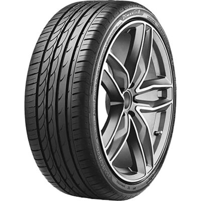 Radar R8 225/30ZR20 Pneumatici estivi Radar R8 225/30ZR20 Pneumatici estivi