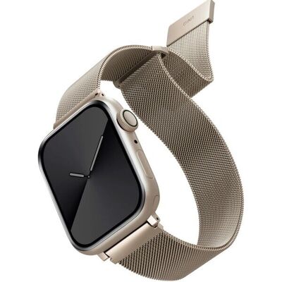 EuroWorld UNIQ Dante Apple Watch Armband - Series 4/5/6/7, SE 42/44/45mm, Edelstahl EuroWorld UNIQ Dante Apple Watch Armband - Series 4/5/6/7, SE 42/44/45mm, Edelstahl