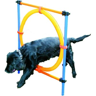 Pawise Agility Ring Ø55Cm - Hundetraining - Verstellbar & Tragbar Pawise Agility Ring Ø55Cm - Hundetraining - Verstellbar & Tragbar