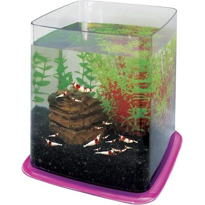 ICA Bettera Betta Battle Paradise 6.4 l - Aquarium ICA Bettera Betta Battle Paradise 6.4 l - Aquarium