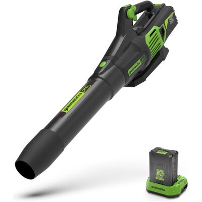 Greenworks GD60AB Akku-Laubbläser - Kraftvoll, Leicht, 60V Greenworks GD60AB Akku-Laubbläser - Kraftvoll, Leicht, 60V