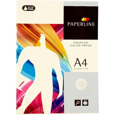 Papier Fabrisa Ivoire A4 - 500 Feuilles Papier Fabrisa Ivoire A4 - 500 Feuilles