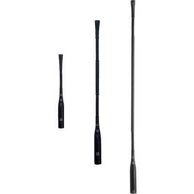 AKG GN30 E - Microphone Col de Cygne - 30cm - Accessoire - Publicité AKG GN30 E - Microphone Col de Cygne - 30cm - Accessoire - Publicité