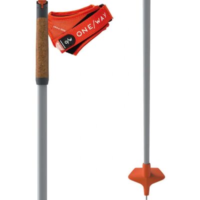 Bâtons de ski ONE WAY Storm 6 Mag - Carbone 30% - Légers - Publicité Bâtons de ski ONE WAY Storm 6 Mag - Carbone 30% - Légers - Publicité