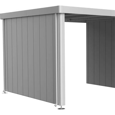 BIOHORT Gartenhaus-Seitenwand - Stahlblech - 259cm x 200cm - Silber - Gartenhaus-Teil BIOHORT Gartenhaus-Seitenwand - Stahlblech - 259cm x 200cm - Silber - Gartenhaus-Teil