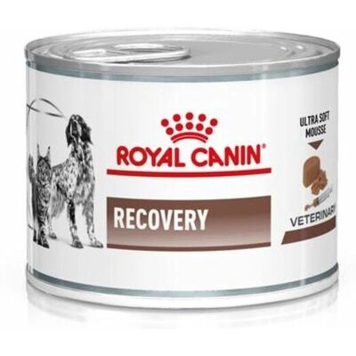 Royal Canin Alimentation vétérinaire de récupération pour chiens - Récupération (195 g) Royal Canin Alimentation vétérinaire de récupération pour chiens - Récupération (195 g)