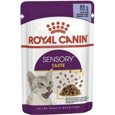 Royal Canin FHN Sensory Taste Karmnik w Galarecie 12 x 85g Royal Canin FHN Sensory Taste Karmnik w Galarecie 12 x 85g