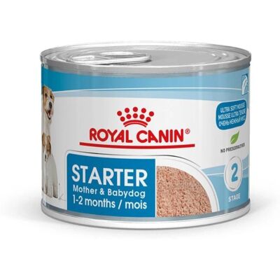 Royal Canin Starter Mousse Mutter & Welpen - Sparpack: 24 x 195g Royal Canin Starter Mousse Mutter & Welpen - Sparpack: 24 x 195g