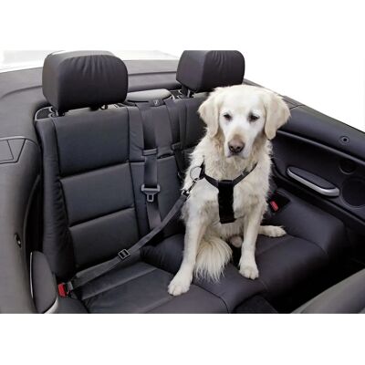 Pettorina Cane XL Kerbl - Regolabile, Resistente, Sicura per Auto Pettorina Cane XL Kerbl - Regolabile, Resistente, Sicura per Auto