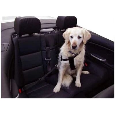 Museruola per auto per cani Kerbl - M nero Museruola per auto per cani Kerbl - M nero