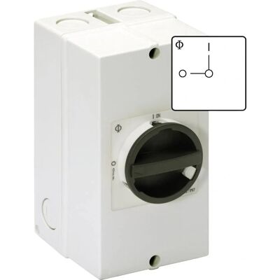 Kraus & Naimer Kompakt Reparationsschalter - 63A, Verriegelbar, IP66/IP67 Kraus & Naimer Kompakt Reparationsschalter - 63A, Verriegelbar, IP66/IP67