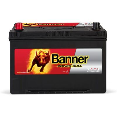Banner Power Bull 12V 95Ah (P9505) - Publicité Banner Power Bull 12V 95Ah (P9505) - Publicité