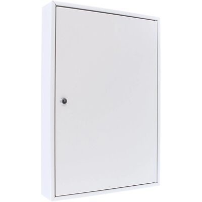 Rottner T01530 Schlüsselbox - Wandmontage, 50 Schlüssel, Stahl, Hellgrau Rottner T01530 Schlüsselbox - Wandmontage, 50 Schlüssel, Stahl, Hellgrau
