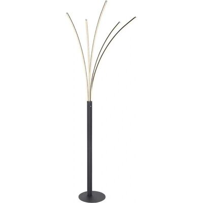 Lámpara de pie Globo BIZZY - Moderna LED negra Lámpara de pie Globo BIZZY - Moderna LED negra