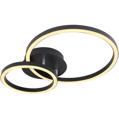 Lámpara de techo de metal negro Reggy Globo - Luz de techo Lámpara de techo de metal negro Reggy Globo - Luz de techo