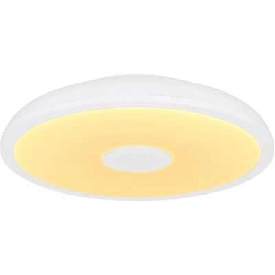 Plafonnier LED Raffy Globo Lighting - RGB, Bluetooth, 18W - Publicité Plafonnier LED Raffy Globo Lighting - RGB, Bluetooth, 18W - Publicité