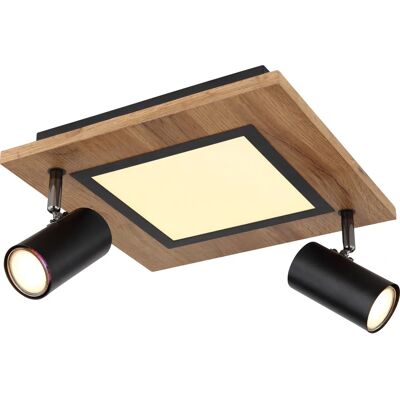 Globo Black Ceiling Light - Modern, LED, 1000lm Globo Black Ceiling Light - Modern, LED, 1000lm