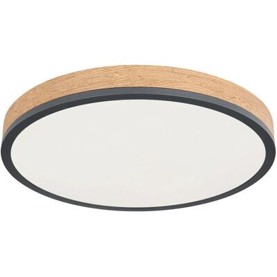 GLOBO LIGHTING DORO 45cm Round Graphite Ceiling Light - LED, Dimmable, Timer GLOBO LIGHTING DORO 45cm Round Graphite Ceiling Light - LED, Dimmable, Timer
