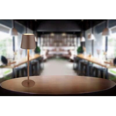 Lampe de table LED Vannie de Globo - Blanc chaud, 3W, IP44 Lampe de table LED Vannie de Globo - Blanc chaud, 3W, IP44