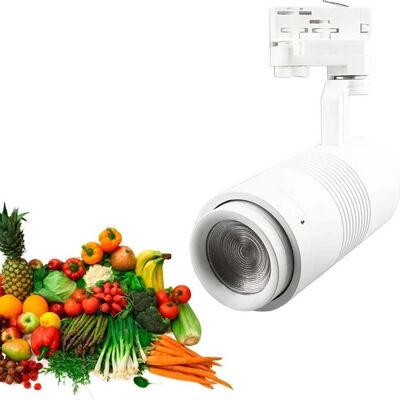 Projecteur pour rail ISOLED 34W 20°-70° ajustable - Publicité Projecteur pour rail ISOLED 34W 20°-70° ajustable - Publicité