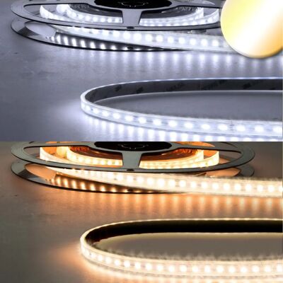 Isoled Bande LED CRI923/950 24V 10W - Ruban LED - Publicité Isoled Bande LED CRI923/950 24V 10W - Ruban LED - Publicité