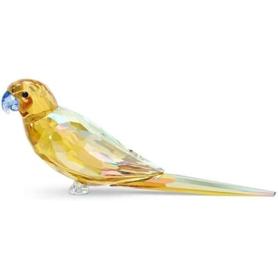Swarovski Jungle Beats Perroquet Jaune - Figurine Décorative Swarovski Jungle Beats Perroquet Jaune - Figurine Décorative