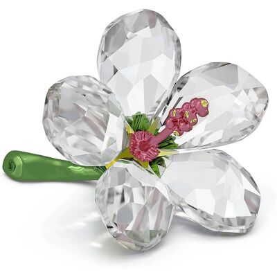 Swarovski Florere Ibisco - Dekoratives Objekt Swarovski Florere Ibisco - Dekoratives Objekt