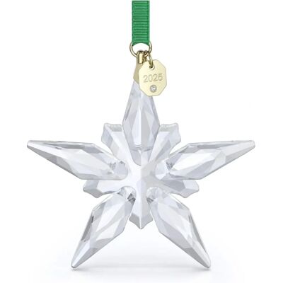 Swarovski 5691172 Jaarlijkse Editie Kerstster - Kerstversiering Swarovski 5691172 Jaarlijkse Editie Kerstster - Kerstversiering