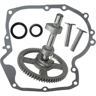 Briggs & Stratton - 793880 - Small engine - 4-stroke - Camshaft kit Briggs & Stratton - 793880 - Small engine - 4-stroke - Camshaft kit