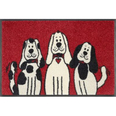 Kleen-Tex Hunde Wasch & Trock Mat - 40x60cm - Bunte, Waschbare Fußmatte Kleen-Tex Hunde Wasch & Trock Mat - 40x60cm - Bunte, Waschbare Fußmatte