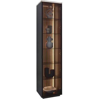 Dieter Knoll VITRIN oak veneer - anthracite - cabinet Dieter Knoll VITRIN oak veneer - anthracite - cabinet