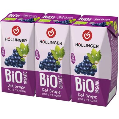 Hollinger Bio Roter Traubensaft - Vegan, 60% Frucht, Ohne Zucker, 200ml Hollinger Bio Roter Traubensaft - Vegan, 60% Frucht, Ohne Zucker, 200ml