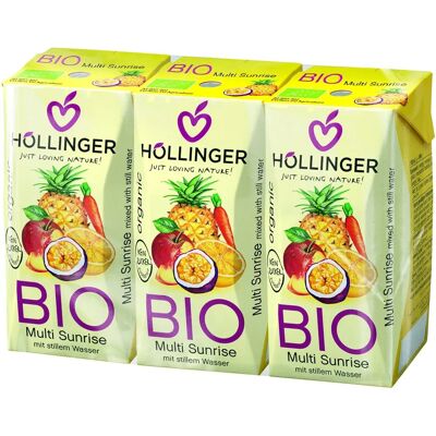Hollinger Minibrick Saft Sonnenaufgang - Säfte Hollinger Minibrick Saft Sonnenaufgang - Säfte