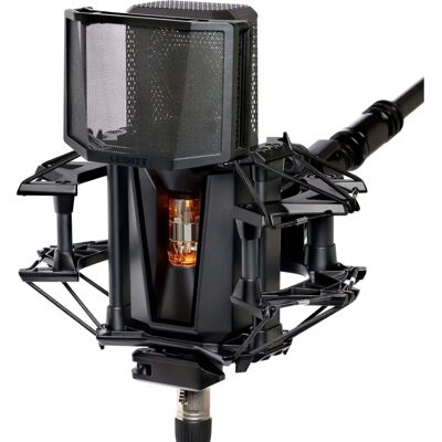 Lewitt Ensemble Studio Tube Pur - Microphone pour voix - Publicité Lewitt Ensemble Studio Tube Pur - Microphone pour voix - Publicité