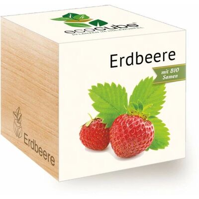 Feel Green Ecocube - Biologische Aardbeienzaadjes - Kweek Zelf - Plantenkit Feel Green Ecocube - Biologische Aardbeienzaadjes - Kweek Zelf - Plantenkit
