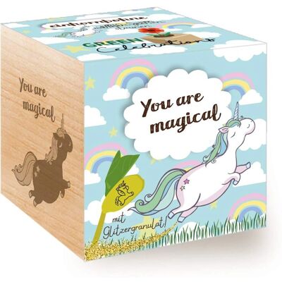 Feel Green Kweekset - Natuurlijke houten kubus met zaden Feel Green Kweekset - Natuurlijke houten kubus met zaden