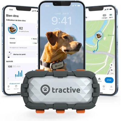 Tractive GPS Hund XL - Abenteuer Edition - Grau - GPS Tracker Tractive GPS Hund XL - Abenteuer Edition - Grau - GPS Tracker