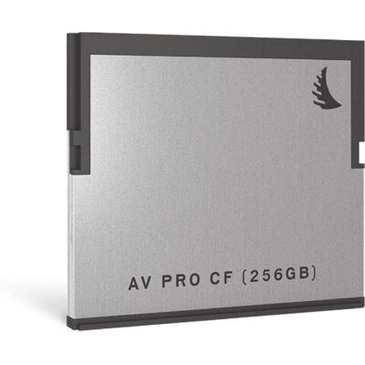 Scheda di memoria Angelbird AV Pro CF 256 GB - Scheda di memoria Scheda di memoria Angelbird AV Pro CF 256 GB - Scheda di memoria