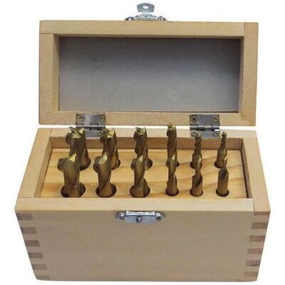 Set di 12 frese di finitura Holzmann FFS12 - 12 pezzi, 2-4 tagli, rivestimento TiN Set di 12 frese di finitura Holzmann FFS12 - 12 pezzi, 2-4 tagli, rivestimento TiN