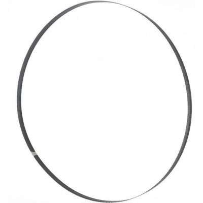 Holzmann BSB230B10 Bandsaw Blade - Precise Cut Tool Holzmann BSB230B10 Bandsaw Blade - Precise Cut Tool