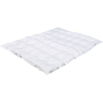 Träumeland T060551 duvet - Convient aux allergiques - Toute l'année - Régulation de température Träumeland T060551 duvet - Convient aux allergiques - Toute l'année - Régulation de température