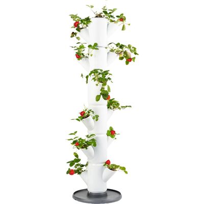 Gusta Garden Sissi Erdbeerpflanzer - Vertikaler Außenpflanzer, Weiß Gusta Garden Sissi Erdbeerpflanzer - Vertikaler Außenpflanzer, Weiß