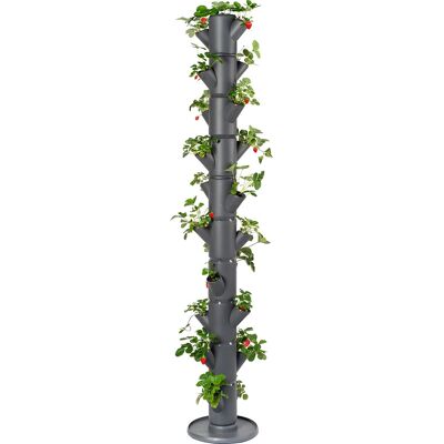 Gusta Garden GUSTA GARDEN SISSI STRAWBERRY INFINITY Vertikaler Pflanzer - Indoor/outdoor Gusta Garden GUSTA GARDEN SISSI STRAWBERRY INFINITY Vertikaler Pflanzer - Indoor/outdoor