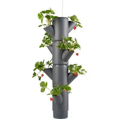 Gusta Garden - SISSI STRAWBERRY - 4-Level - Vertical - Planter Gusta Garden - SISSI STRAWBERRY - 4-Level - Vertical - Planter