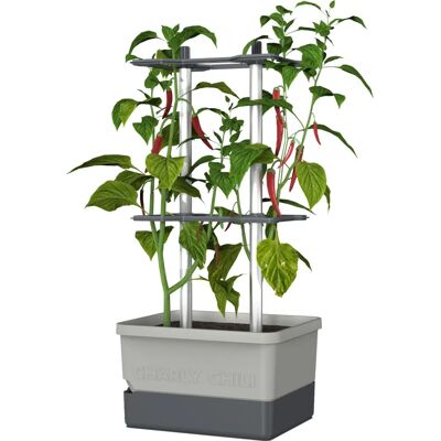 Gusta Garden, Blumentopf, Charly Chili (35 cm) - Pflanztopf Gusta Garden, Blumentopf, Charly Chili (35 cm) - Pflanztopf